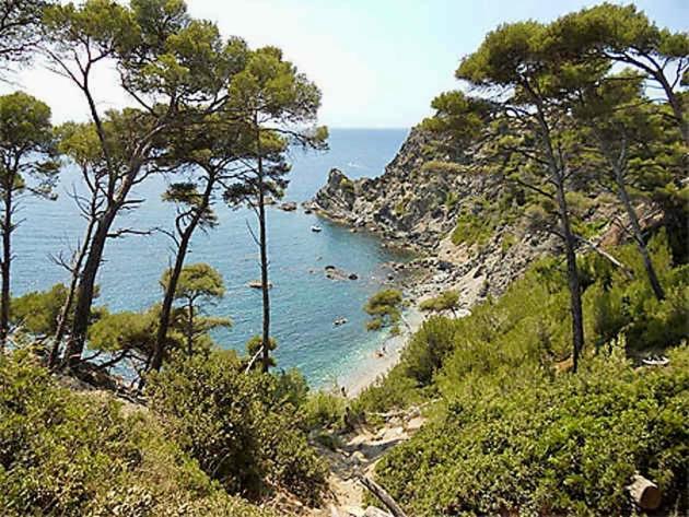 La Fincazur! Proche Plages Сі-Фур-ле-Плаж Екстер'єр фото